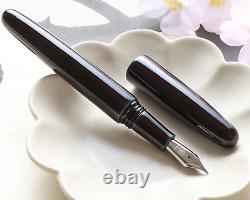Stylo-plume Wancher Dream Fountain Pen TRUE URUSHI AO TAMENURI, stylo en laque de calligraphie